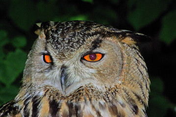 Alles im Blick
