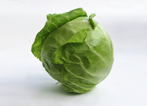 White cabbage-head