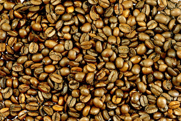 coffee bean's background