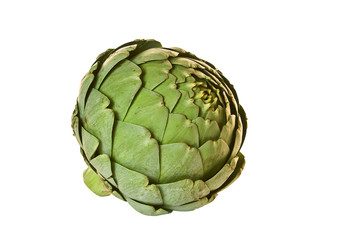 Obraz premium Artichoke