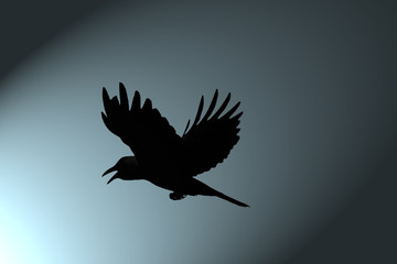 Crow