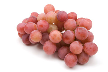 vine grapes