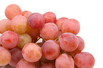 vine grapes