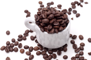 Cofee seed
