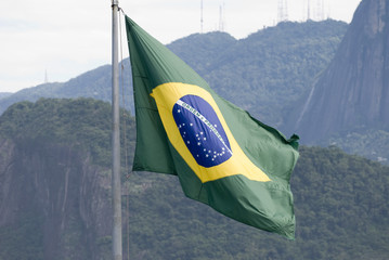 Brazilian Flag
