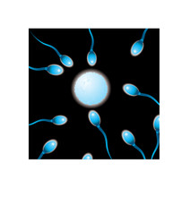 Sperm seamless background repeating tile