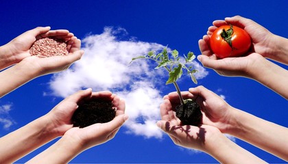 AGRICULTURE