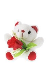 Teddy Bear with Red Rose