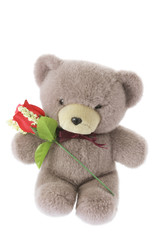 Teddy Bear with Red Rose