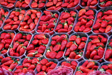barquettes de fraises