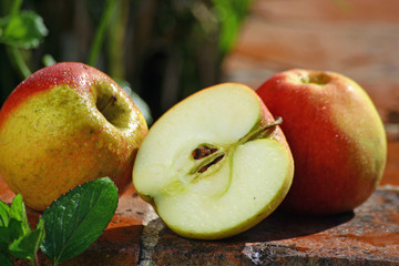 pommes bios