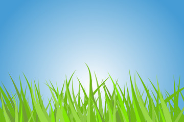 Green grass