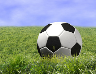 Fototapeta na wymiar Fußball im Gras