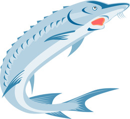 Sturgeon Fish