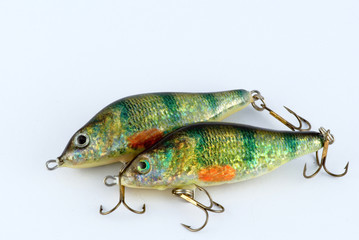 bait
