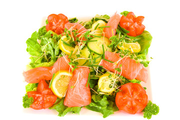 Isolated Square Plate filled with Smoked Salmon Salad