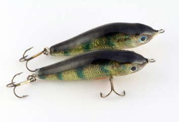 bait