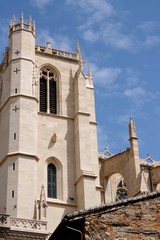 Fototapeta premium cathédrale saint jean, lyon