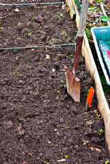 Garden Plot with Garden Tools