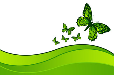 Obraz premium Mariposas