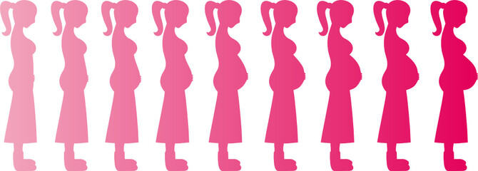 Pregant Woman Months 1-9