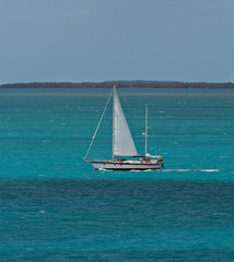 Fototapeta premium Key West Sailboat
