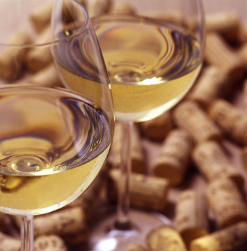 Vino
