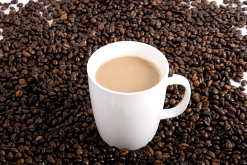 Caffee beans in cup