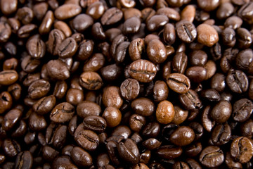 Fresh coffee beans background 
