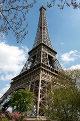 Diagonal view of the Eiffel Tower in spring, Paris, France