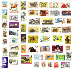 collection of vintage animal stamps