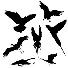  flying bird vector silhouettes 