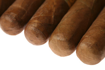 Havana Cigars Set Isolated on White