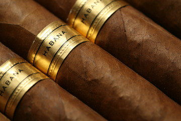 Havana Cigars Texture