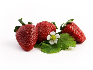 erdbeeren