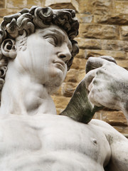 Naklejka premium statue of David Florence