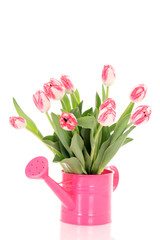 spring time! © matka_Wariatka