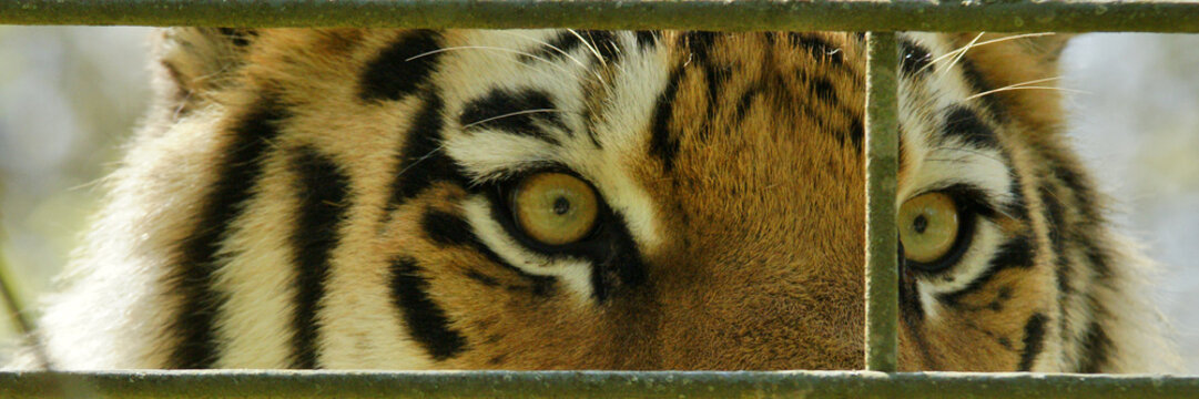 regard