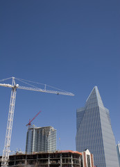 White Crane Over Rising Towr