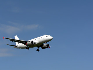 Fototapeta na wymiar jet plane in flight - landing side view 2