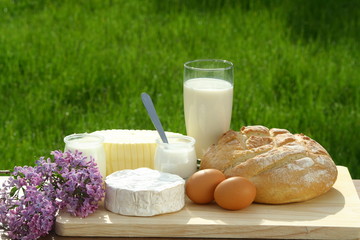 produits laitiers
