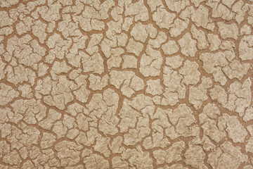 Crackle Fabric  Textured Background Pattern in Earth Tone Colors