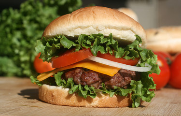 Hamburger