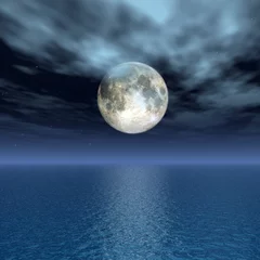 Foto op Plexiglas Volle maan en bomen Maanlicht