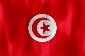 Foto auf Acrylglas Tunesien drapeau tunesien tunesien flagge