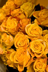 yellow roses