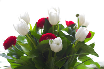 bouquet made of white tulips and red roses (shallow DOF)