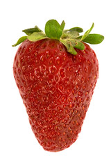 Fresh and ripe strawberry