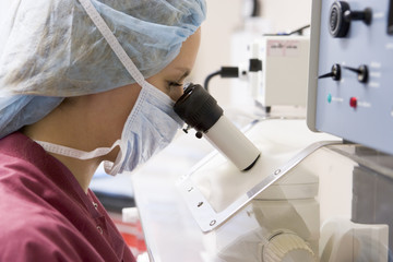 Embryologist using microscope - obrazy, fototapety, plakaty