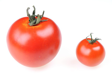 Tomate Paradiesapfel  Paradeiser Tomato, 